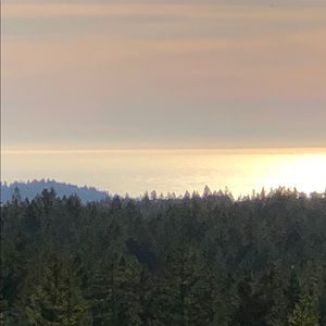 Meet your Posher, Pattio